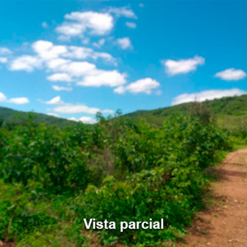 terreno-1283-alq-av-projetada-3-lot-cidade-araguaia-lt-unico-da-qd-c-07-dist-pao-de-acucar-taquaritinga-do-norte-pe-cep-55790-000_10458