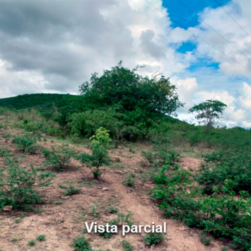 terreno-889-alq-av-projetada-03-lt-unico-da-qd-c-02-lot-cidade-araguaia-dist-pao-de-acucar-taquaritinga-do-norte-pe-cep-55790-000_10464
