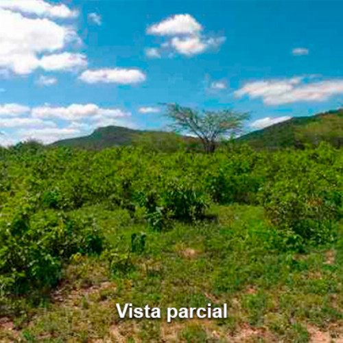 terreno-212-ha-rua-projetada-07-lt-01-da-qd-b-08-lot-cidade-araguaia-dist-pao-de-acucar-taquaritinga-do-norte-pe-cep-55790-000_10468