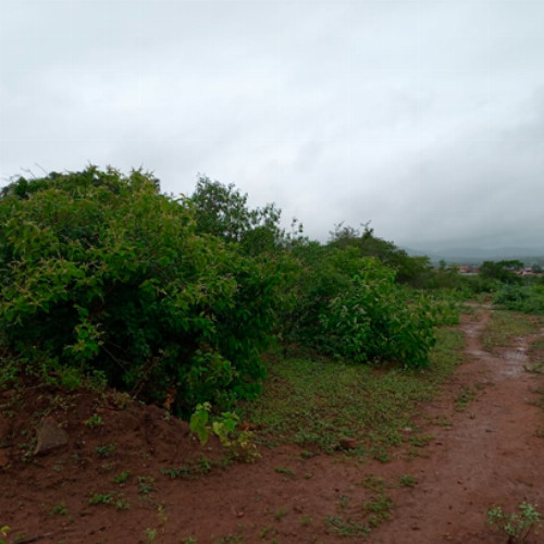 terreno-161-ha-rua-projetada-09-lt-01-da-qd-b12-lot-cidade-araguaia-dist-pao-de-acucar-taquaritinga-do-norte-pe-cep-55790-000_10472