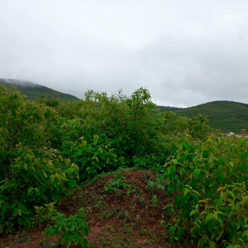 terreno-1088-alq-rua-projetada-10-lt-01-da-qd-b13-lot-cidade-araguaia-dist-pao-de-acucar-taquaritinga-do-norte-pe-cep-55790-000_10473