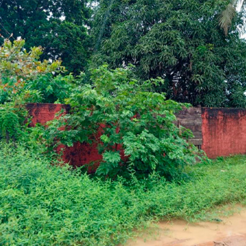 terreno-218-ha-rua-canoas-11-lote-180-da-quadra-91-marcos-freire-porto-velho-ro-cep-76814-042