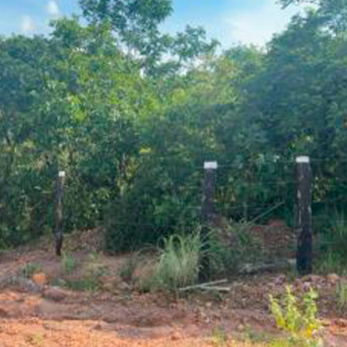 terreno-255m2-fazenda-nossa-senhora-aparecida-parte-3-nao-informado-zona-rural-balsas-ma-cep-65800-000