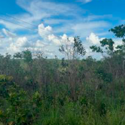 terreno-255m2-fazenda-nossa-senhora-aparecida-parte-3-nao-informado-zona-rural-balsas-ma-cep-65800-000