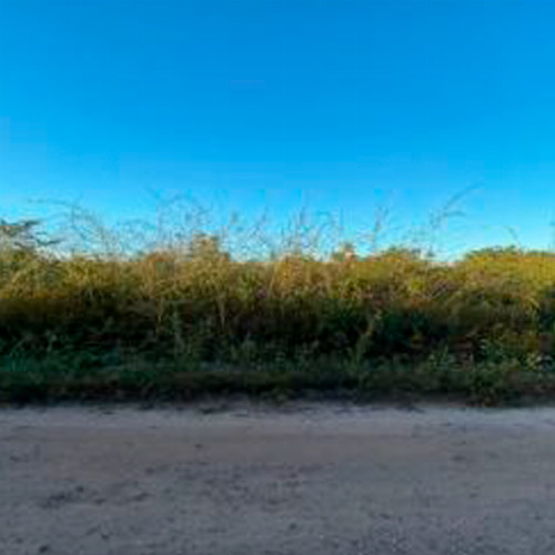 terreno-500m2-avenida-principal-lote-20-parque-moises-amorim-chapadinha-ma-cep-65500-000