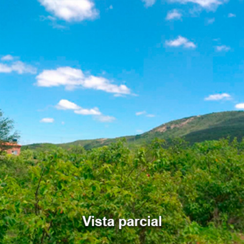 terreno-2499-alq-av-projetada-3-lot-cidade-araguaia-lt-unico-da-qd-c-08-dist-pao-de-acucar-taquaritinga-do-norte-pe-cep-55790-000