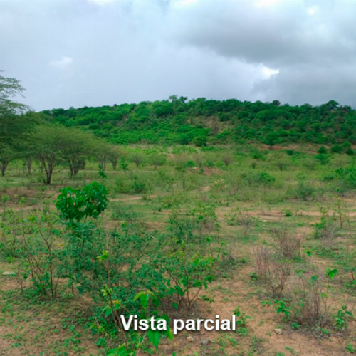 terreno-714-alq-av-projetada-03-lt-unico-da-qd-c-03-lot-cidade-araguaia-distr-de-pao-de-acucar-taquaritinga-do-norte-pe-cep-55790-000