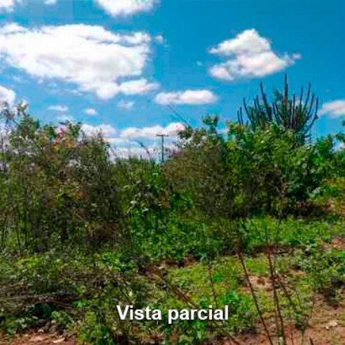 terreno-1792m2-rua-projetada-08-lt-02-da-qd-b09-lot-cidade-araguaia-dist-pao-de-acucar-taquaritinga-do-norte-pe-cep-55790-000
