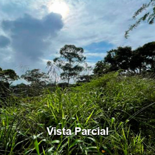 terreno-228-ha-rua-rui-silva-nao-se-aplica-garcia-blumenau-sc-cep-89021-430