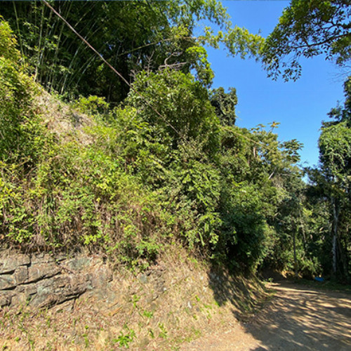 terreno-228-ha-rua-rui-silva-nao-se-aplica-garcia-blumenau-sc-cep-89021-430
