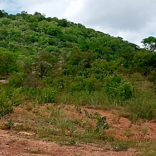 terreno-681-alq-rua-projetada-29-lt-unico-da-qd-c-29-lot-cidade-araguaia-dist-pao-de-acucar-taquaritinga-do-norte-pe-cep-55790-000