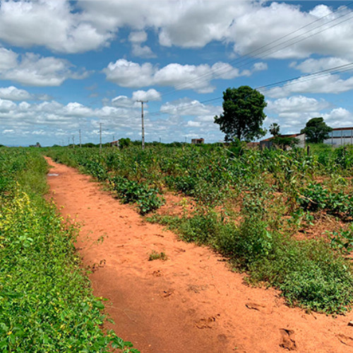 terreno-4132-alq-portal-da-chapada-nao-informado-zona-rural-apodi-rn-cep-59700-000