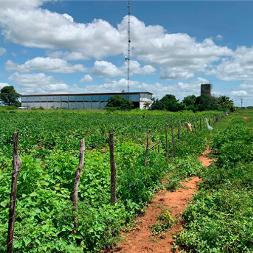 terreno-4132-alq-portal-da-chapada-nao-informado-zona-rural-apodi-rn-cep-59700-000