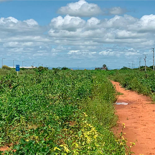 terreno-4132-alq-portal-da-chapada-nao-informado-zona-rural-apodi-rn-cep-59700-000