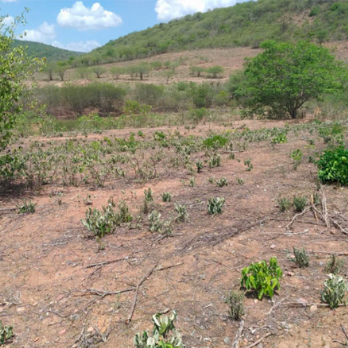 terreno-83-alq-av-projetada-03-lt-unico-da-qd-c-05-lot-cidade-araguaia-dist-pao-de-acucar-taquaritinga-do-norte-pe-cep-55790-000_7477