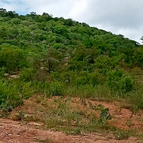 terreno-681-alq-rua-projetada-29-lt-unico-da-qd-c-29-lot-cidade-araguaia-dist-pao-de-acucar-taquaritinga-do-norte-pe-cep-55790-000_7496
