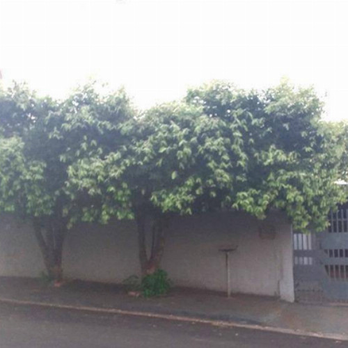casa-188-ha-22-ha-rua-13-de-maio-1657-nao-se-aplica-jardim-buscardi-taquaritinga-sp-cep-00102-697_9660