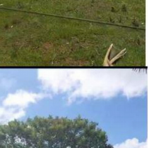 terreno-501m2-lote-07-situado-a-beira-mar-residencial-vida-parque-residencial-vida-perola-pr-cep-87540-000