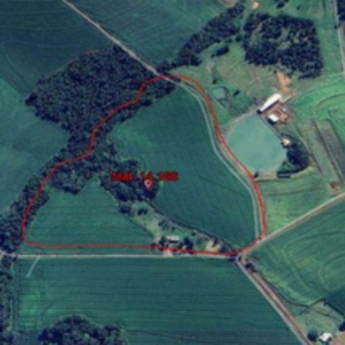 rural-7735-alq-fazenda-britania-distrito-de-bela-vista-bela-vista-marechal-candido-rondon-pr-cep-85960-000