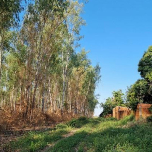 terreno-5697m2-nao-informado-nao-informado-sao-goncalo-varzea-grande-mt-cep-78110-001