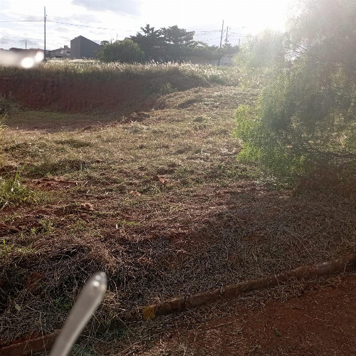 terreno-250m2-rua-orlando-maximo-barcelos-lote-22-da-quadra-13-residencial-elisa-terra-roxa-pr-cep-85990-000