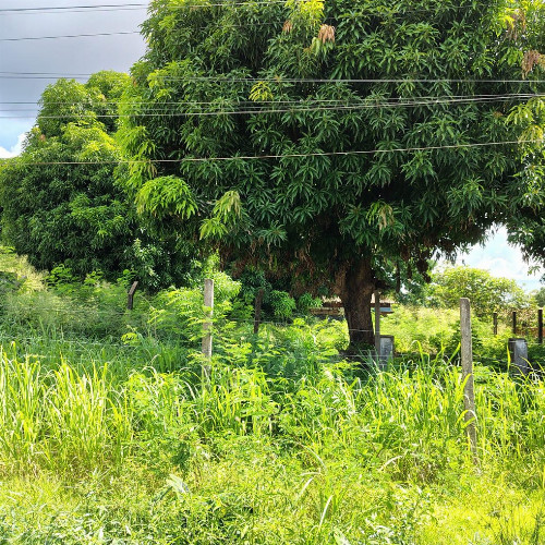 terreno-450m2-quadra-03-vila-militar-presidente-medice-maraba-pa-cep-68504-100