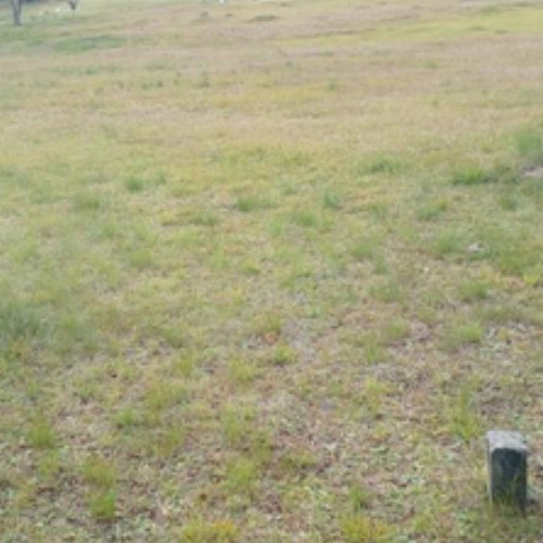 outros-estrada-da-roseira-5505-cemiterio-parque-caminho-do-ceu-borda-do-campo-sao-jose-dos-pinhais-pr-cep-83075-010_3847