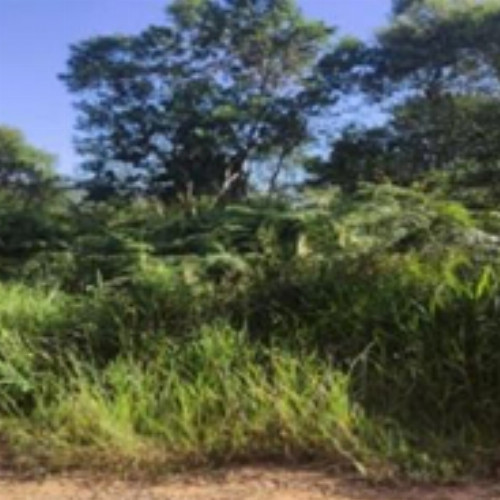 terreno-558-alq-estrada-reserva-projeto-jardim-cotia-sp-cep-06726-290