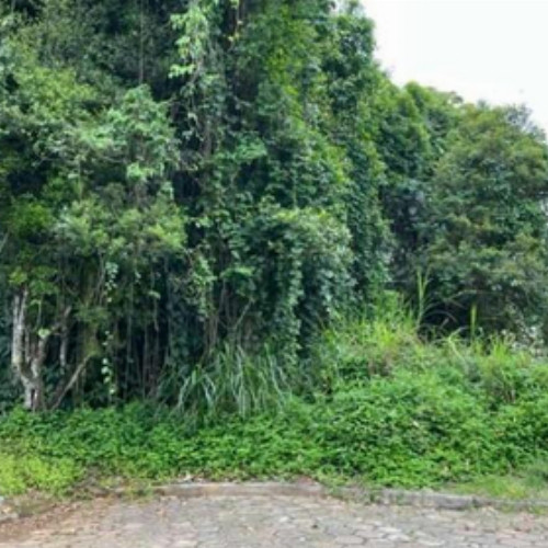 terreno-959-alq-rua-antidio-paulo-gesser-parque-guarani-joinville-sc-cep-89209-472