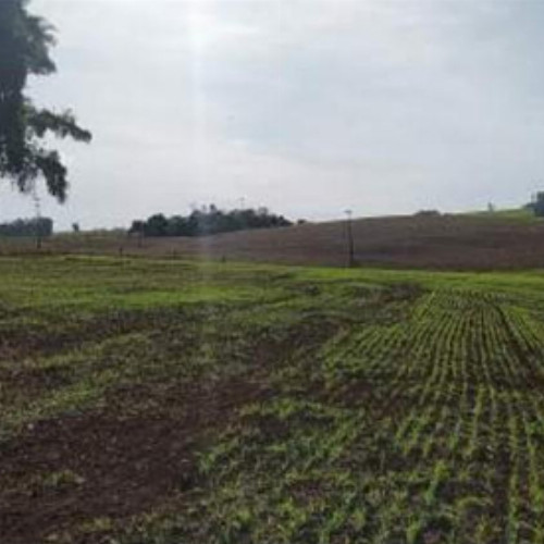 rural-14-alq-linha-santa-terezinha-ao-lado-direito-da-rodovia-pr473-sentido-cruzeiro-do-iguacu-rp-colonia-missoes-dois-vizinhos-pr-cep-85660-000