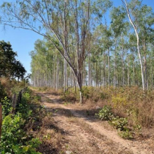 terreno-2354-alq-lugar-denominado-sao-goncalo-nao-especificado-nao-especificado-sao-goncalo-varzea-grande-mt-cep-78110-001