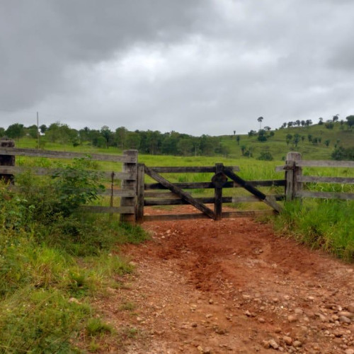 rural-116-ha-lote-rural-no-39-gleba-38-projeto-integrado-de-colonizacao-ouro-preto-ji-parana-ro-cep-76900-001