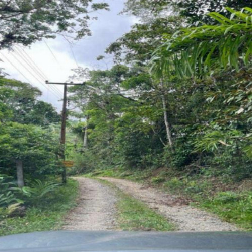 terreno-576m2-rua-martinho-ramos-caioba-campo-grande-ms-cep-79000-001