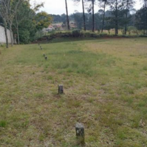 outros-estrada-da-roseira-5505-cemiterio-parque-caminho-do-ceu-borda-do-campo-sao-jose-dos-pinhais-pr-cep-83075-010_5533