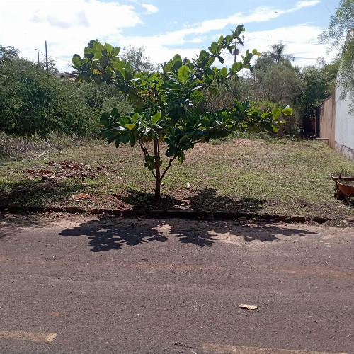 terreno-13-alq-rua-jovino-rossi-lote-28-da-quadra-15-residencial-elisa-terra-roxa-pr-cep-85990-000