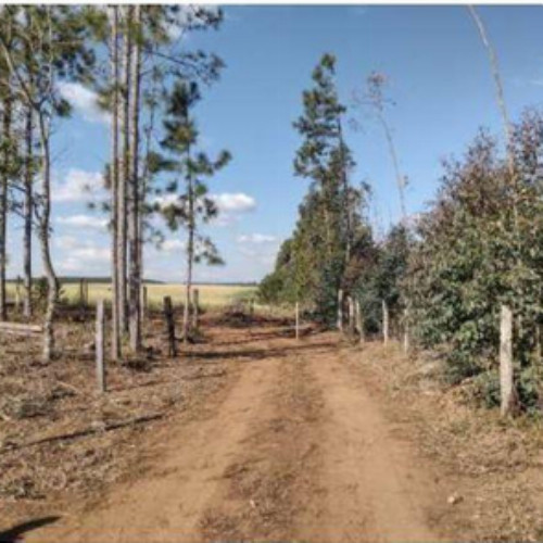 terreno-4m2-gleba-samambaia-distrito-de-entre-rios-guarapuava-pr-cep-85000-001