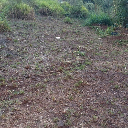 terreno-250m2-rua-adolpho-mass-37-parque-da-uniao-getulio-vargas-rs-cep-99900-000