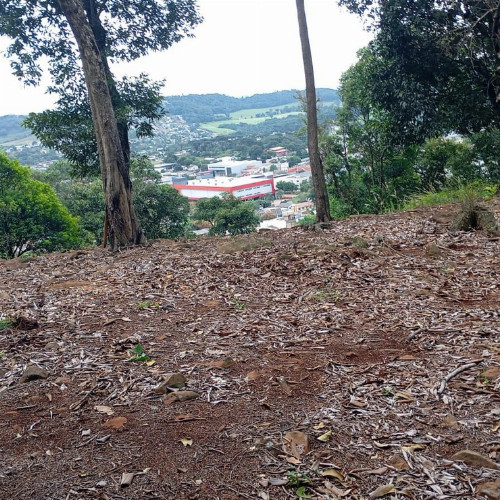 rural-6m2-rua-macae-nao-informado-pinheirinho-francisco-beltrao-pr-cep-85603-012