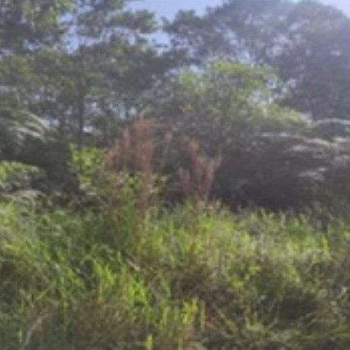 terreno-565-alq-estrada-reserva-quadra-m-lote-12-projeto-jardim-cotia-sp-cep-06700-001_8679