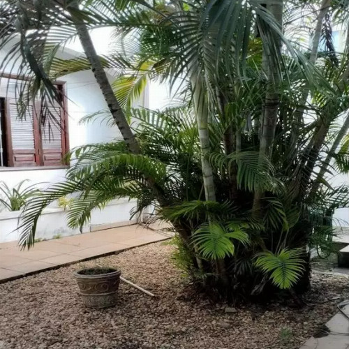 casa-428m2-910m2-rua-treze-de-maio-1919-beira-rio-imperatriz-ma-cep-33435-001