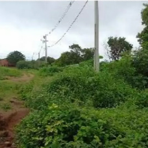 terreno-972-alq-rua-joao-emilio-borges-lote-no-06-da-quadra-04-e-lotes-39-40-41-42-e-43-da-quadra-08-jardim-das-acacias-paraiso-do-tocantins-to-cep-33416-002