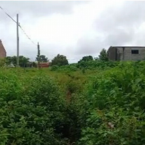 terreno-972-alq-rua-joao-emilio-borges-lote-no-06-da-quadra-04-e-lotes-39-40-41-42-e-43-da-quadra-08-jardim-das-acacias-paraiso-do-tocantins-to-cep-33416-002