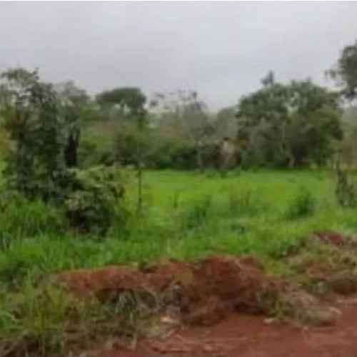 terreno-8136-alq-rua-7-lotes-no-12-e-13-da-quadra-05-chacaras-saia-velha-cidade-ocidental-go-cep-33448-001
