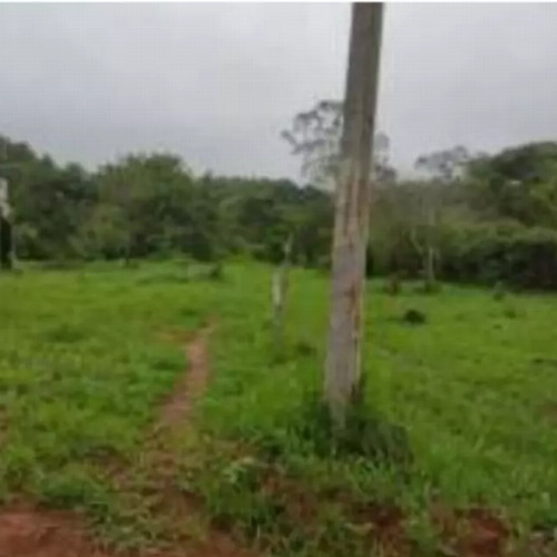 terreno-8136-alq-rua-7-lotes-no-12-e-13-da-quadra-05-chacaras-saia-velha-cidade-ocidental-go-cep-33448-001