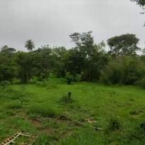 terreno-8136-alq-rua-7-lotes-no-12-e-13-da-quadra-05-chacaras-saia-velha-cidade-ocidental-go-cep-33448-001