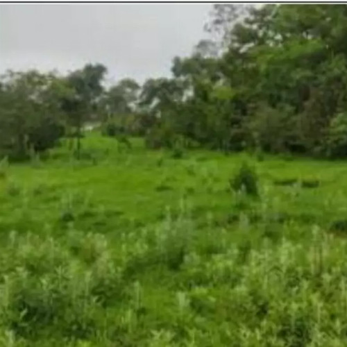 terreno-8136-alq-rua-7-lotes-no-12-e-13-da-quadra-05-chacaras-saia-velha-cidade-ocidental-go-cep-33448-001