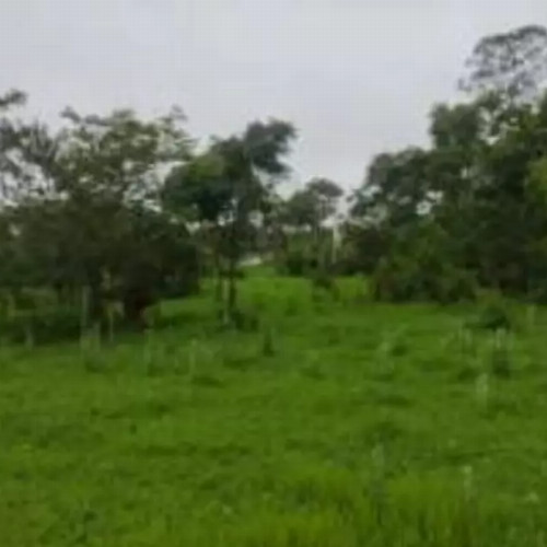 terreno-8136-alq-rua-7-lotes-no-12-e-13-da-quadra-05-chacaras-saia-velha-cidade-ocidental-go-cep-33448-001