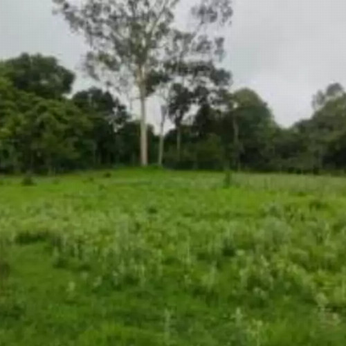 terreno-8136-alq-rua-7-lotes-no-12-e-13-da-quadra-05-chacaras-saia-velha-cidade-ocidental-go-cep-33448-001