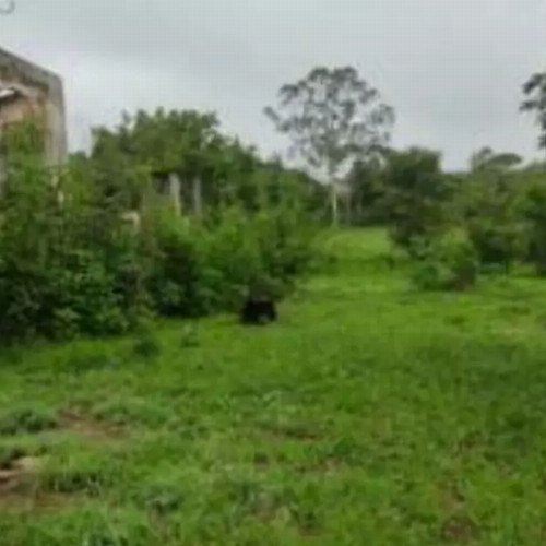 terreno-8136-alq-rua-7-lotes-no-12-e-13-da-quadra-05-chacaras-saia-velha-cidade-ocidental-go-cep-33448-001