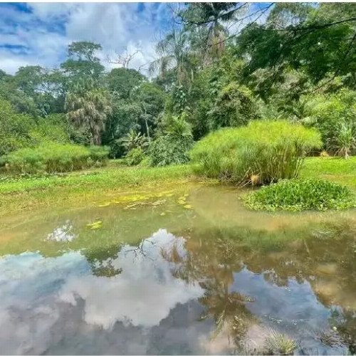 rural-853m2-10m2-estrada-da-escola-agricola-898-chacara-hadassa-commons-inn-chacara-sao-jose-chacara-sao-jose-cotia-sp-cep-33118-001